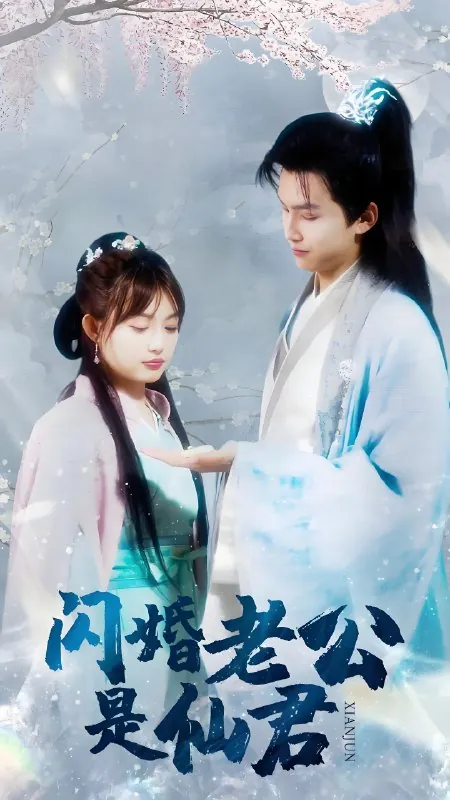 闪婚老公是仙君（100集）|短剧