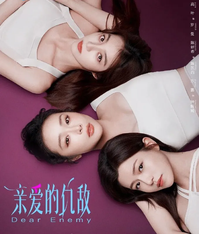 亲爱的仇敌（2025）4K.更至05