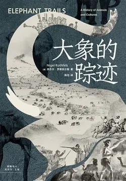 大象的踪迹 百度云