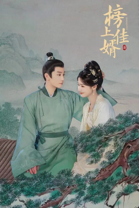 榜上佳婿（2025）臻彩4K更新至31集