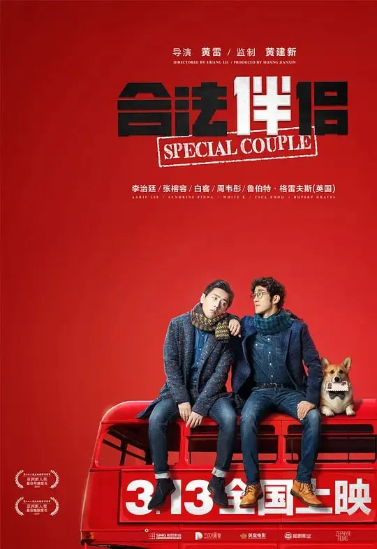 合法伴侣（2019）