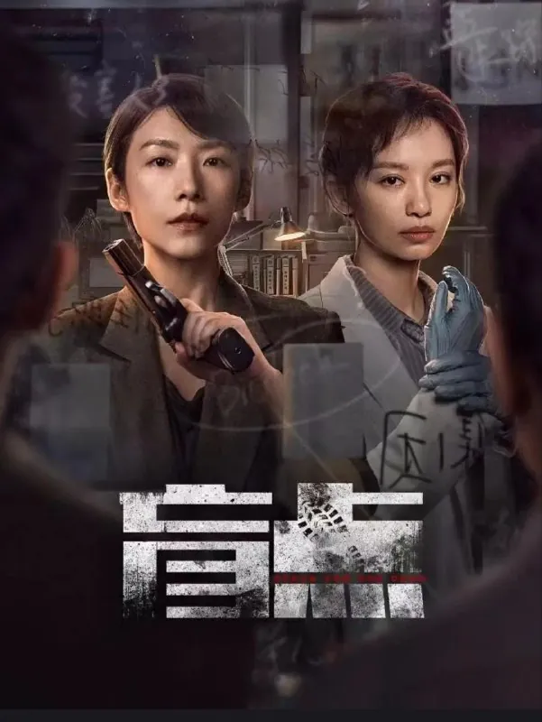 盲点[全24集][超清][2025]