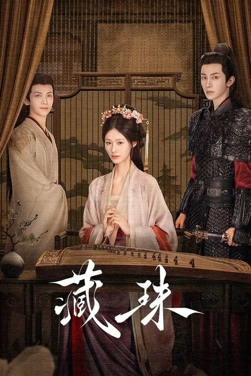 藏珠 电视剧