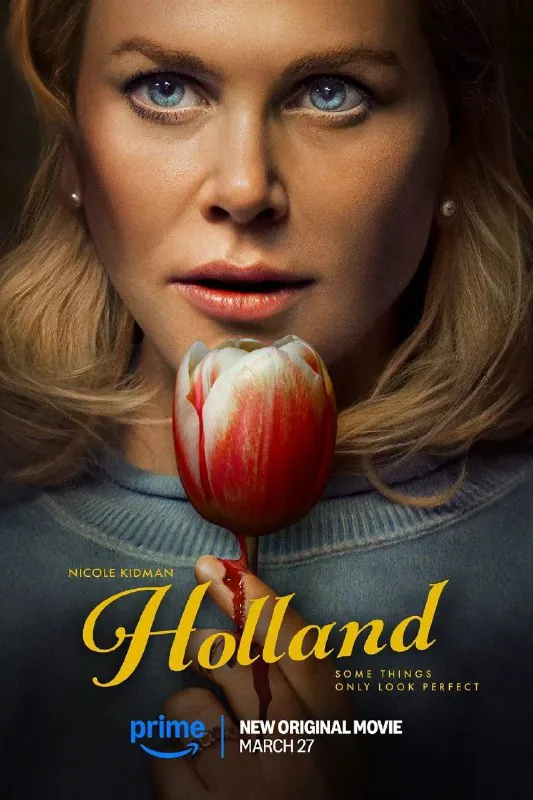 荷兰镇Holland[超清][中字][惊悚][2025]